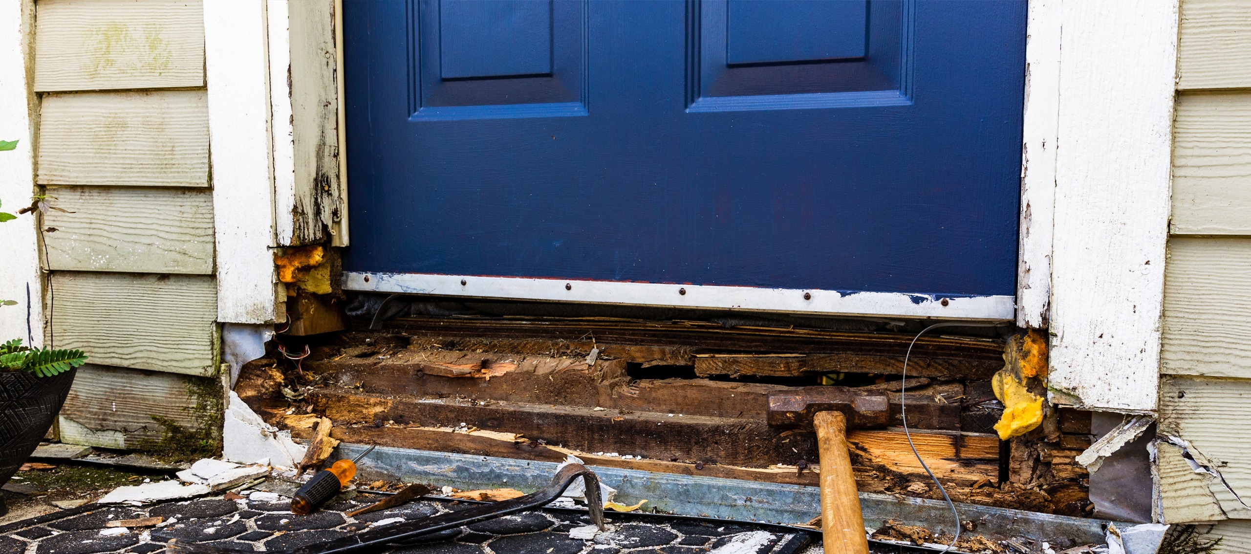Wood Rot on Front Door