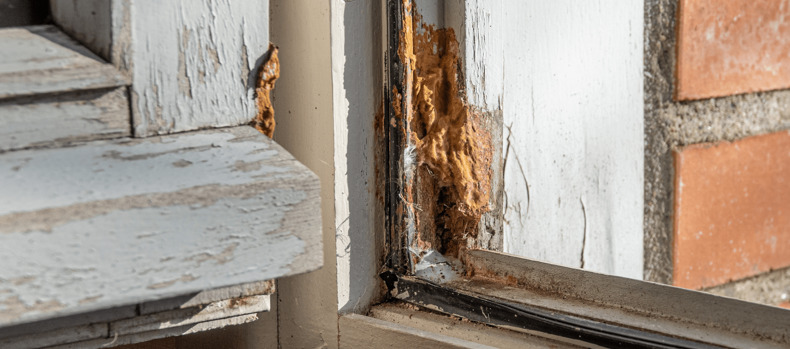 Wood Rot on Window Sills